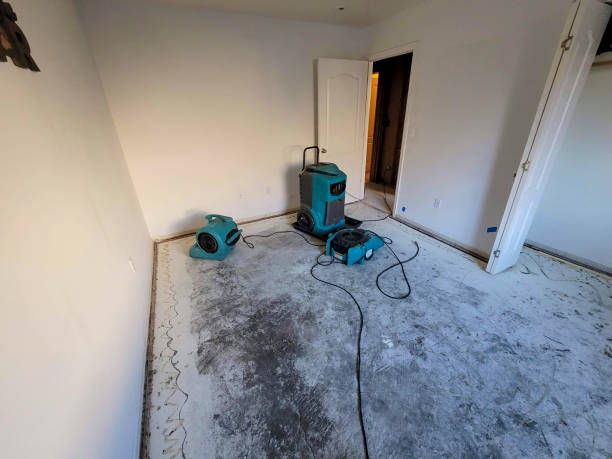 Best Water damage restoration company  in Vine Grove, KY