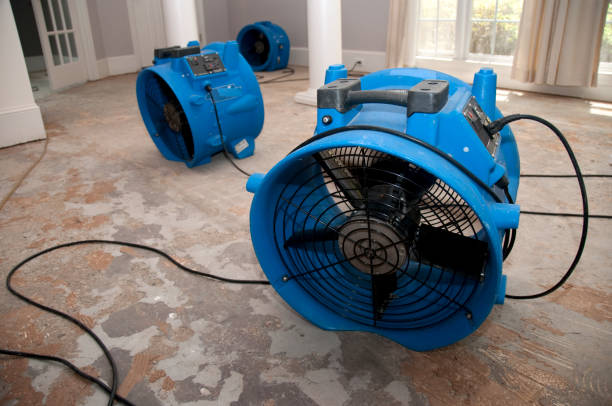 Best Water damage cleanup near me  in Vine Grove, KY