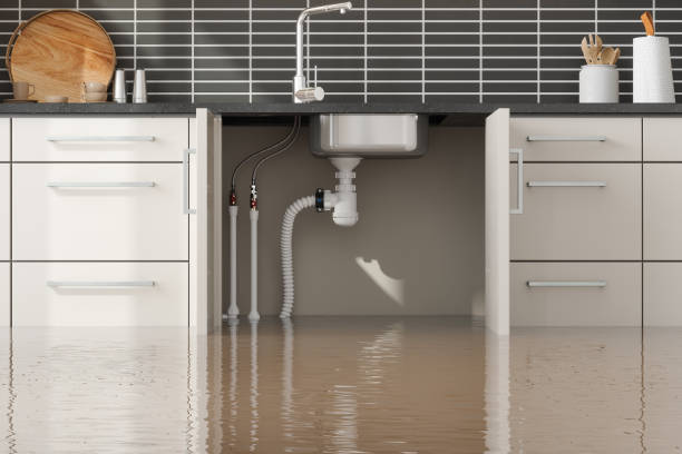 Best Flood damage cleanup  in Vine Grove, KY